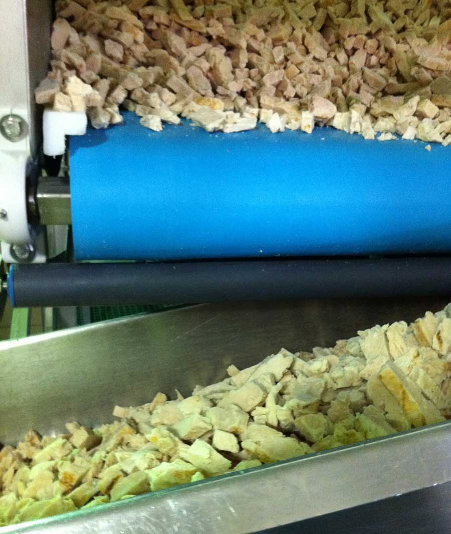 Poultry Further Processing Conveyor Belt